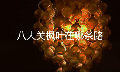八大哪条关枫叶在路